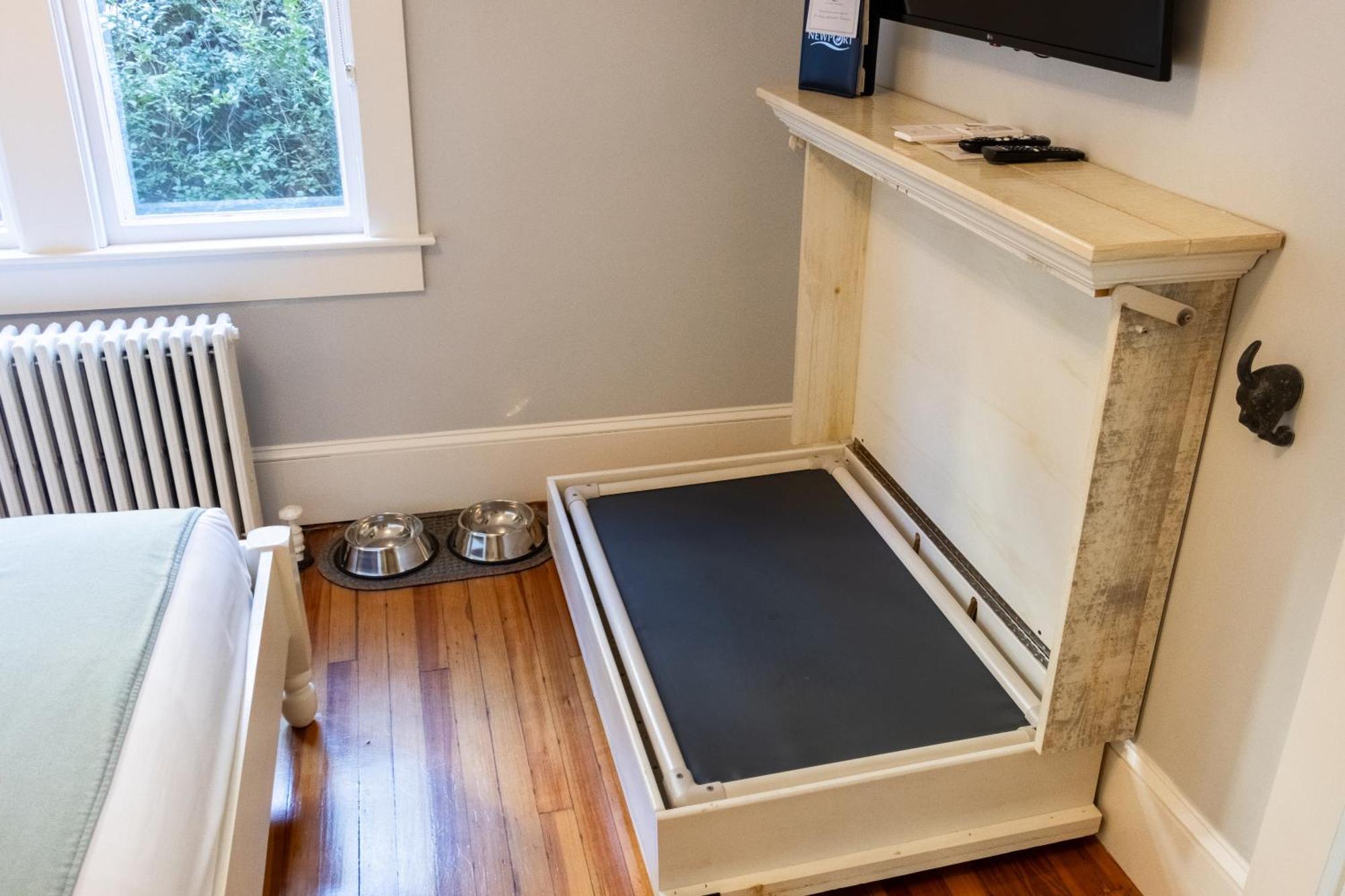 Paws On Pelham (Adults Only) Bed and Breakfast Newport Exteriör bild