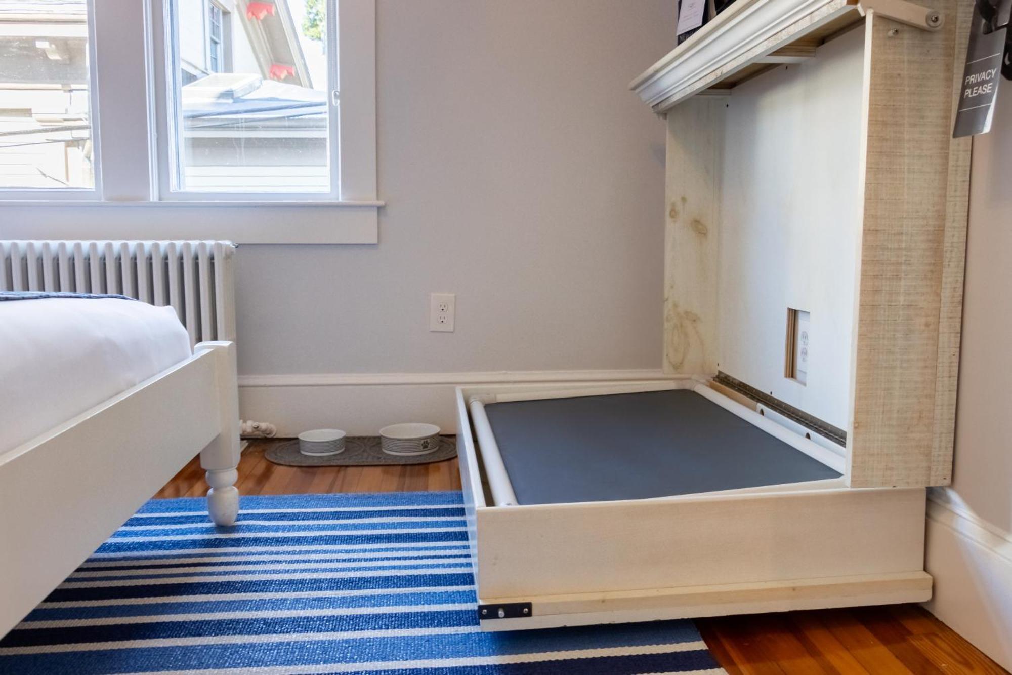 Paws On Pelham (Adults Only) Bed and Breakfast Newport Exteriör bild