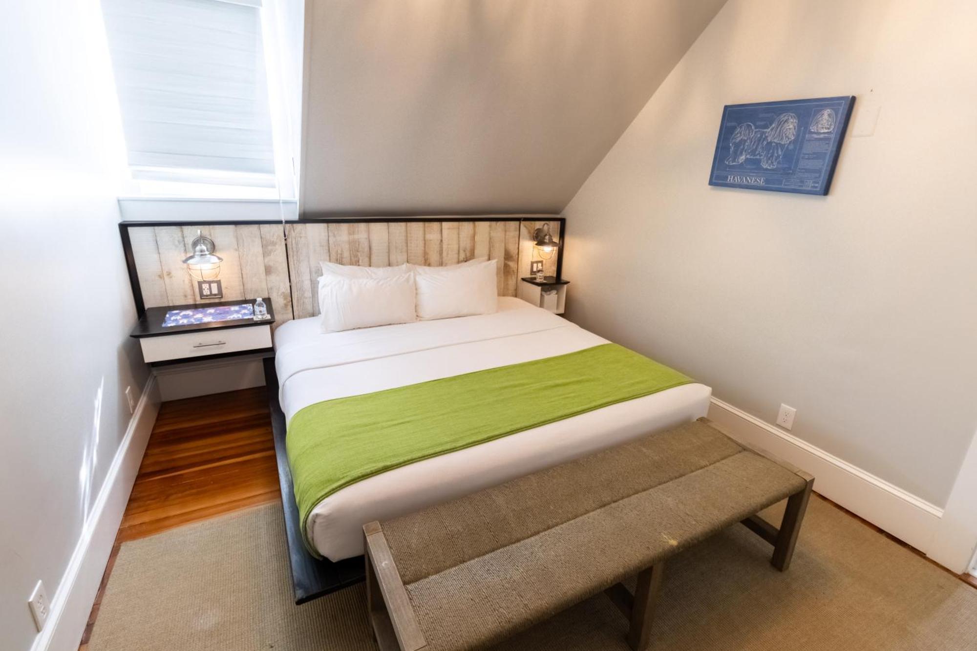 Paws On Pelham (Adults Only) Bed and Breakfast Newport Exteriör bild