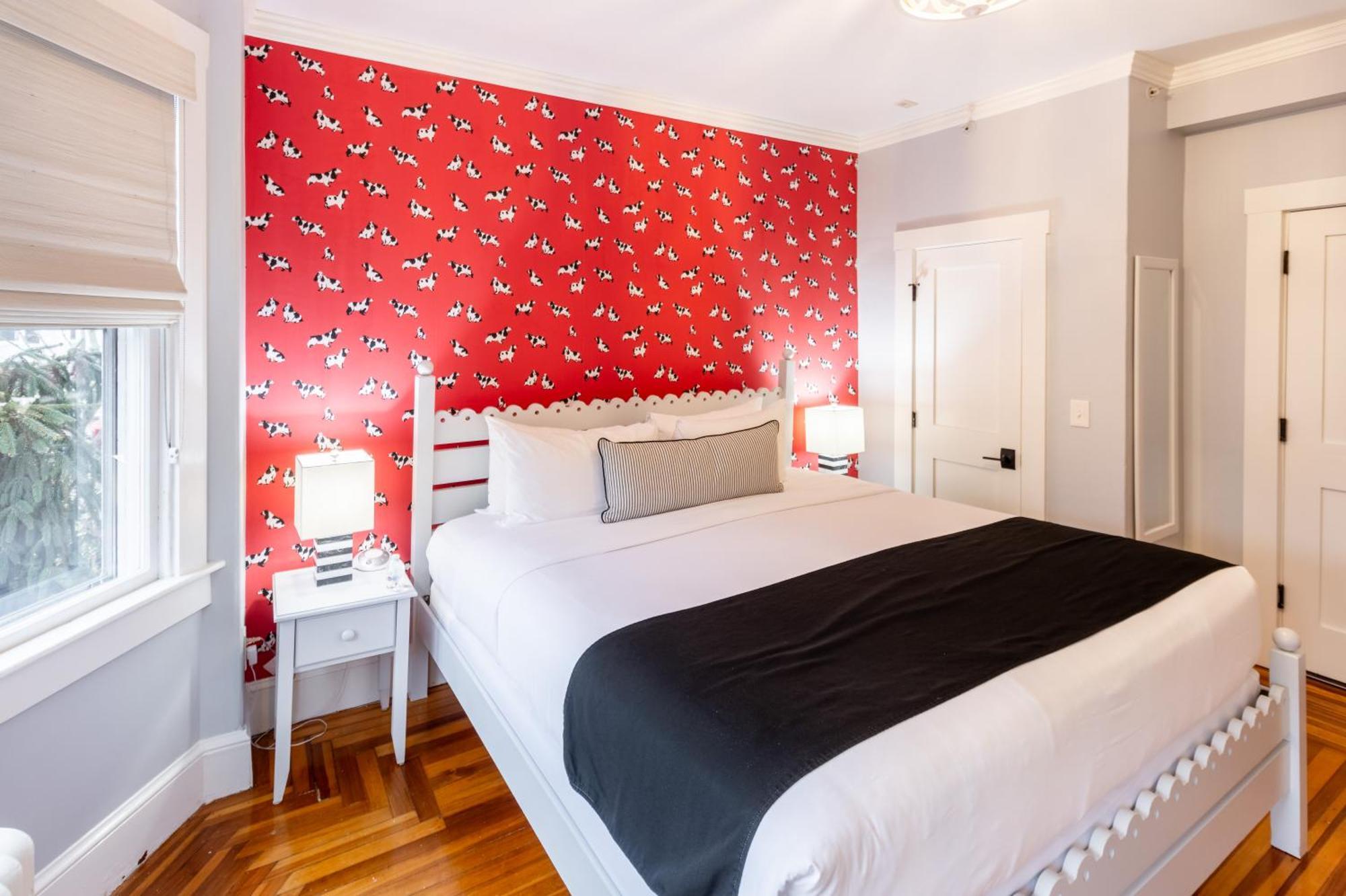 Paws On Pelham (Adults Only) Bed and Breakfast Newport Exteriör bild
