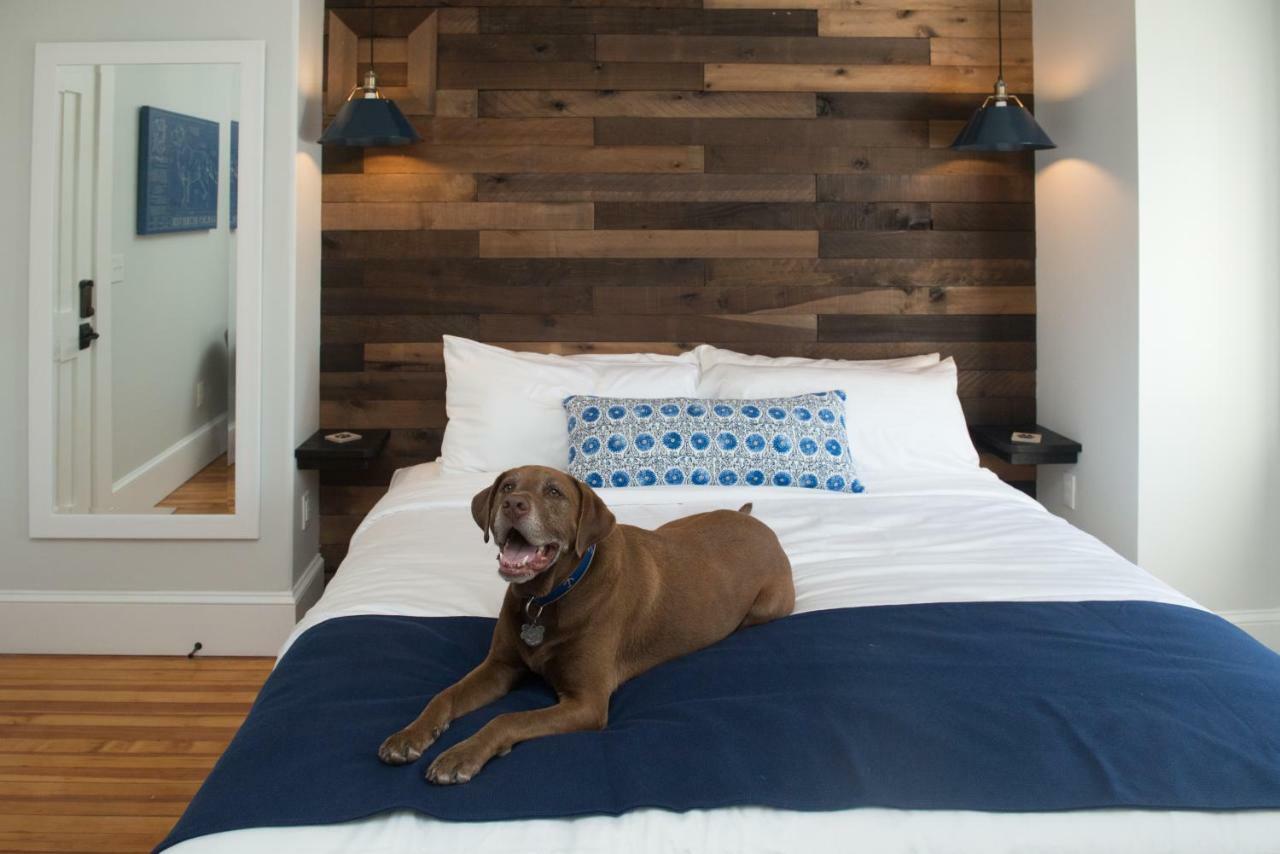 Paws On Pelham (Adults Only) Bed and Breakfast Newport Exteriör bild
