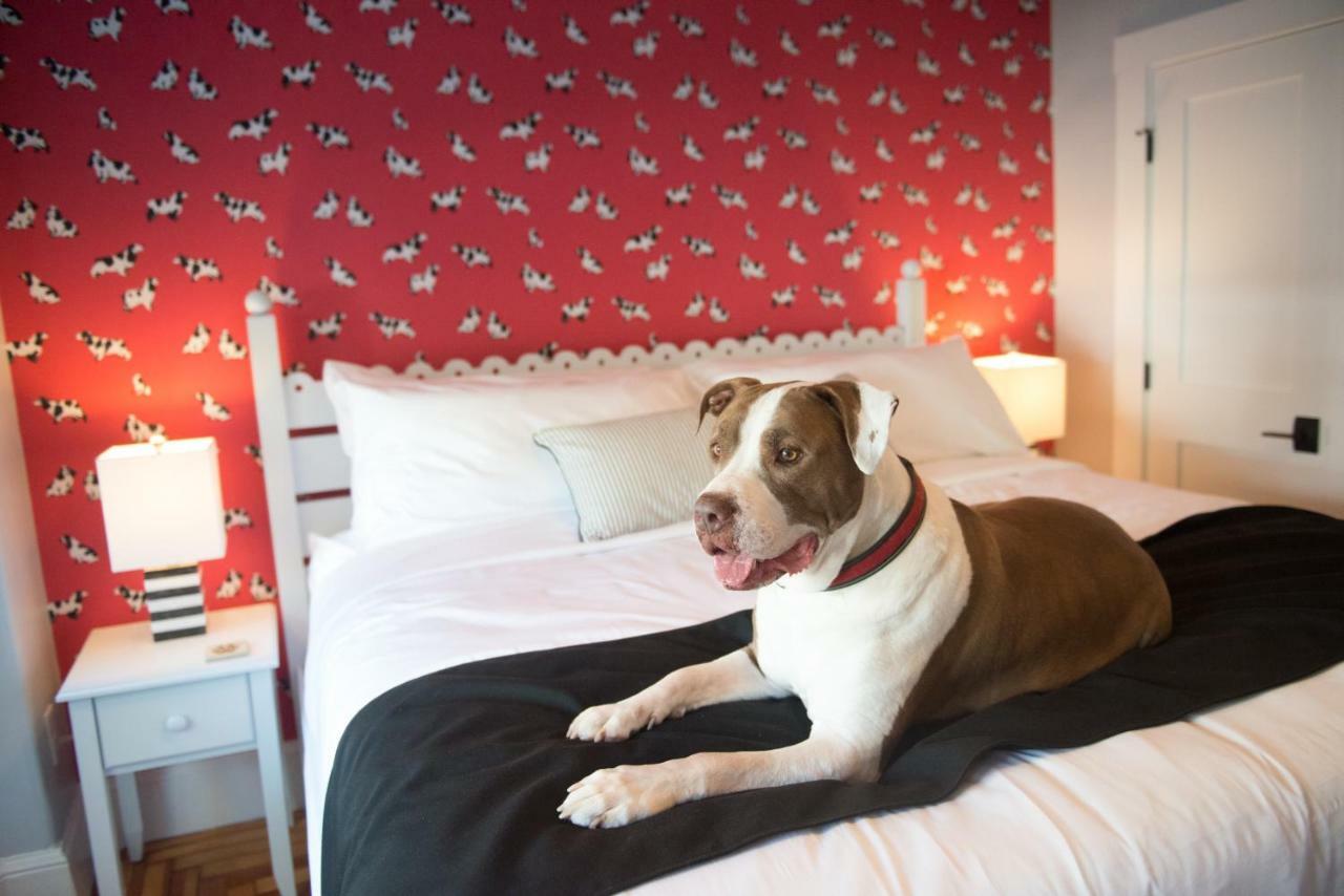 Paws On Pelham (Adults Only) Bed and Breakfast Newport Exteriör bild