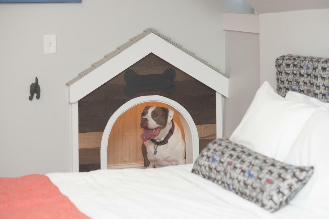 Paws On Pelham (Adults Only) Bed and Breakfast Newport Exteriör bild