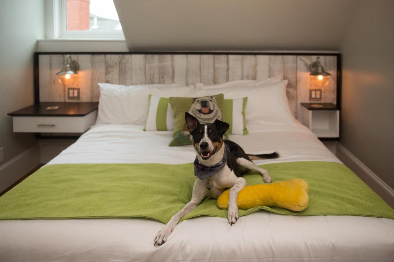 Paws On Pelham (Adults Only) Bed and Breakfast Newport Exteriör bild