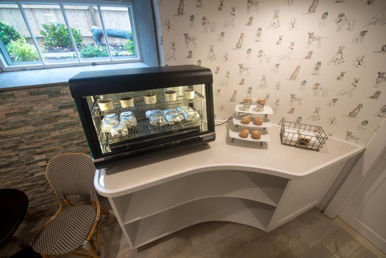 Paws On Pelham (Adults Only) Bed and Breakfast Newport Exteriör bild